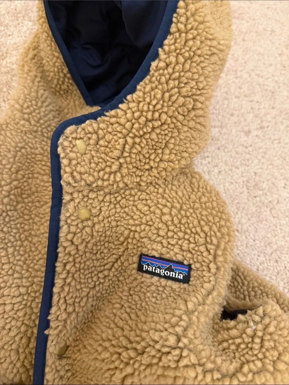 Patagonia Vest